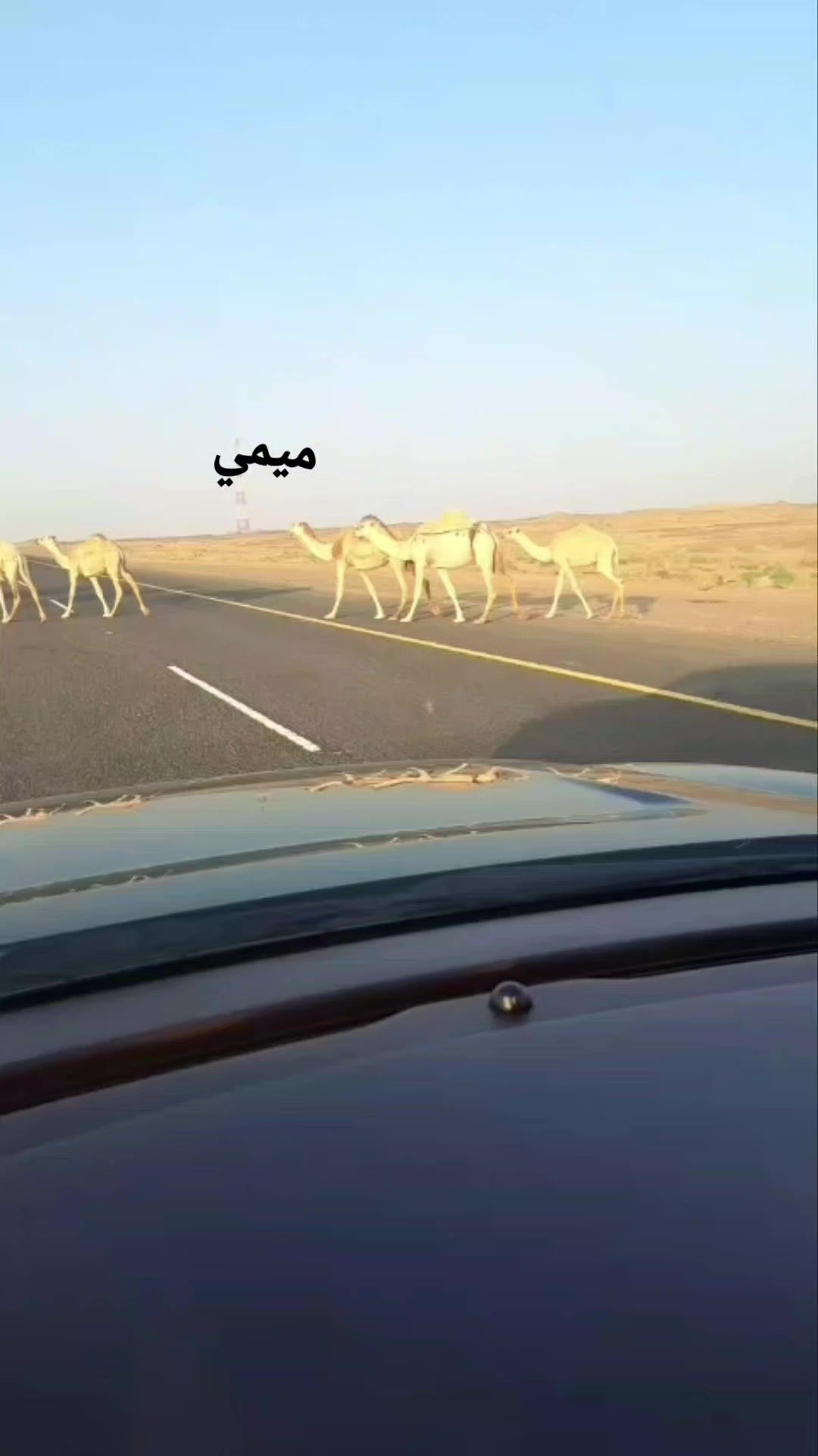 @ميمي ✨️