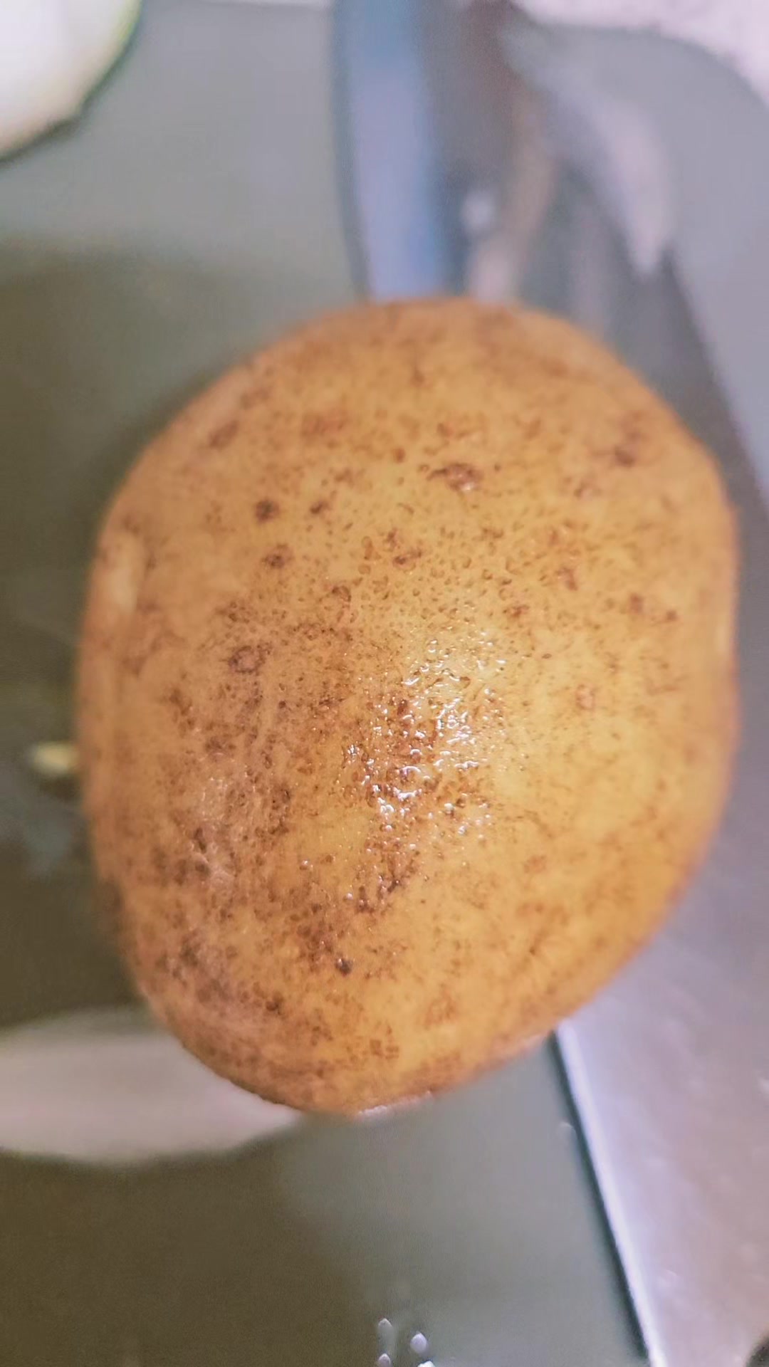 @쩡양