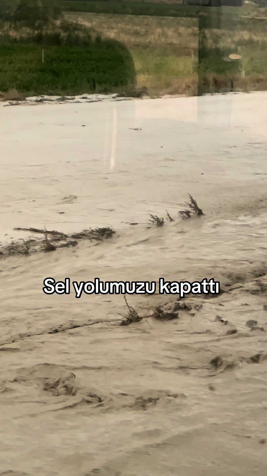 @zeynphavinnnnnnnn