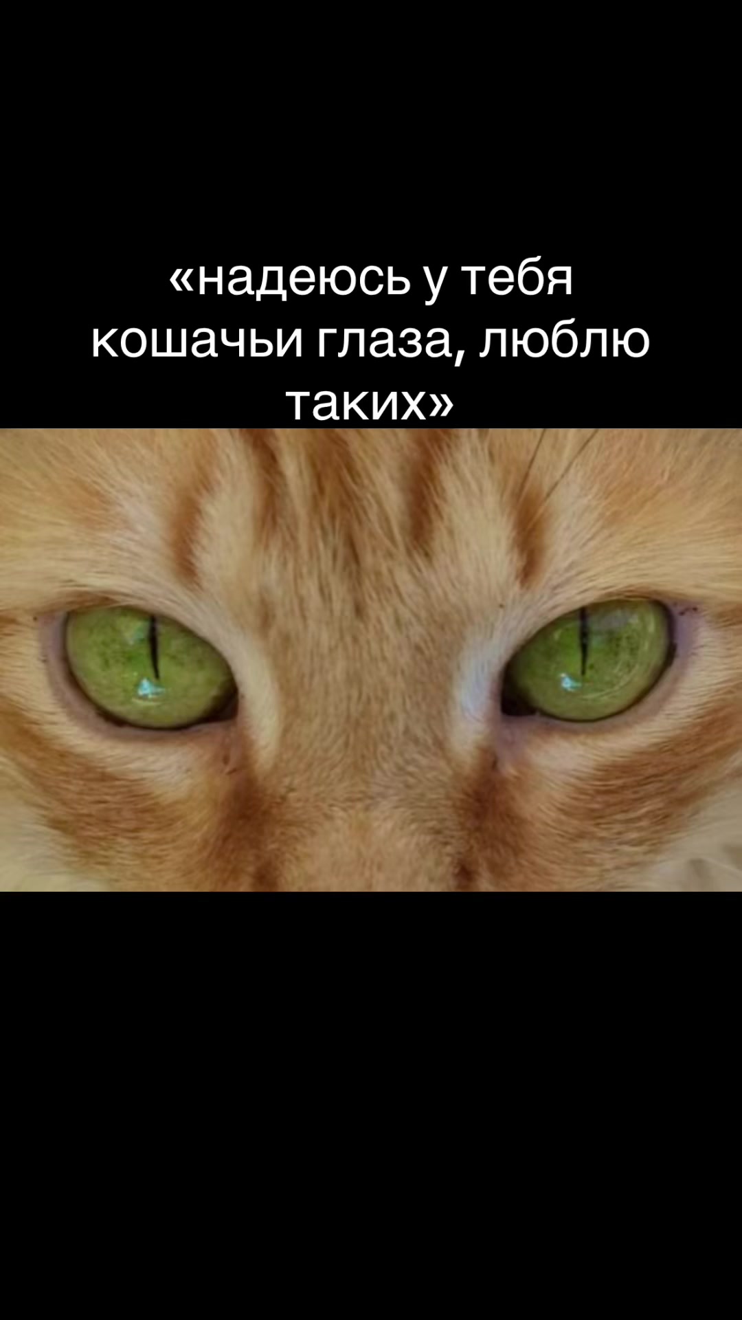 @-Чᴀʙᴏшᴇʜьᴋᴀ!ꨄ