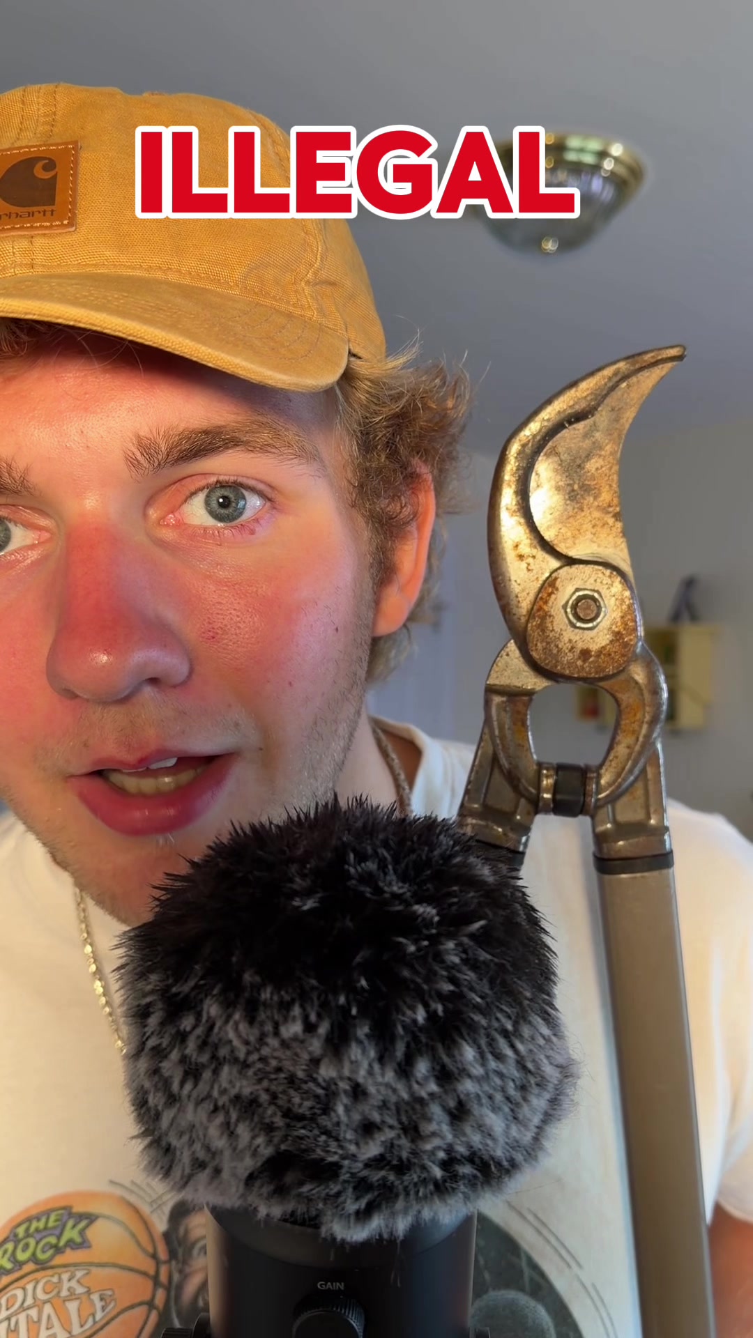 @Deluxeklex asmr