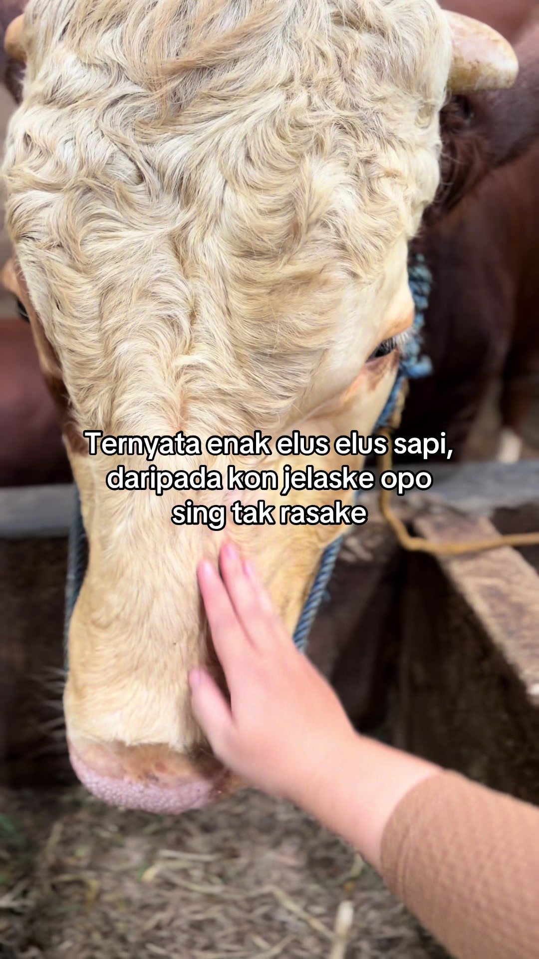 @zero farm