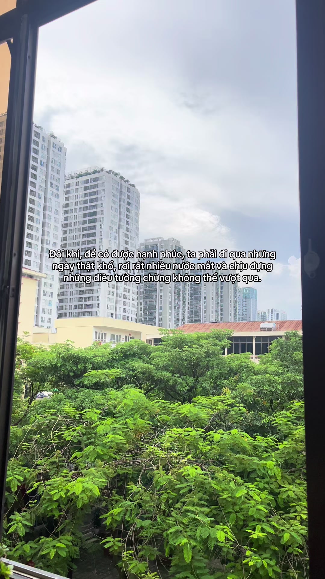 @Reels của Tình 🫧