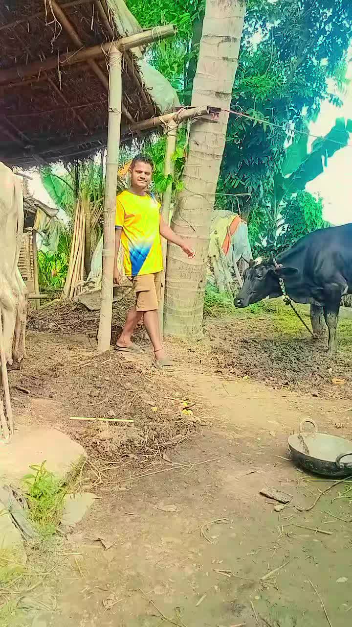 @avinash ram