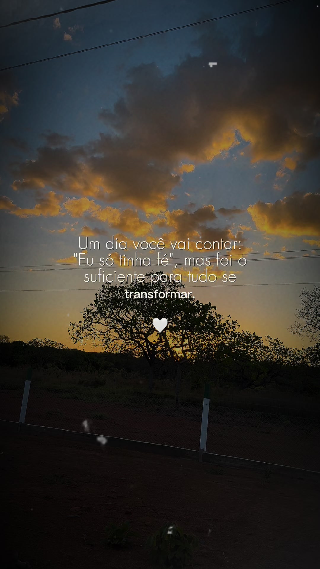 @Suzana Calixto