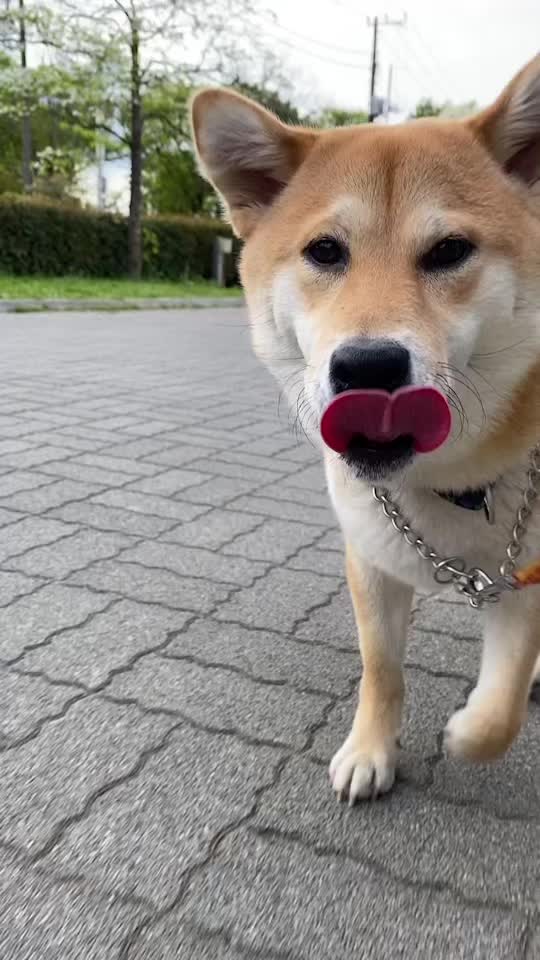 @てんくう