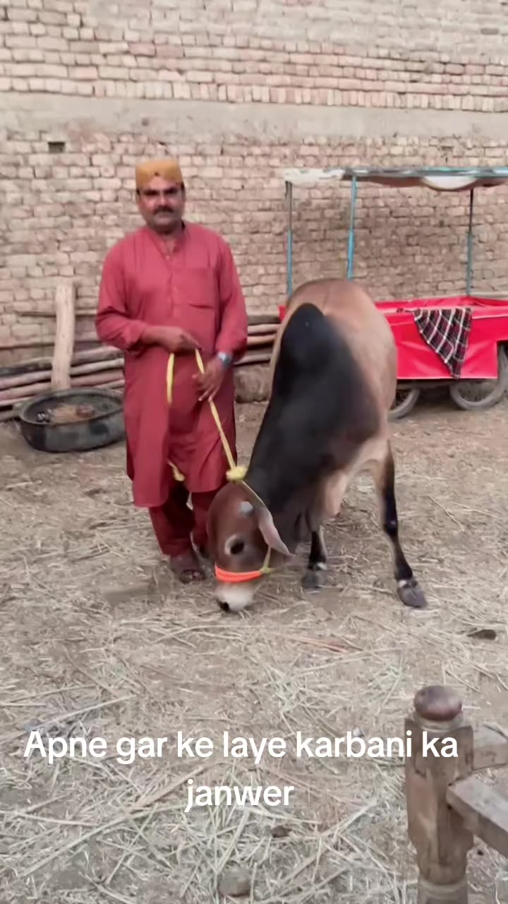 @ABDUL NABI