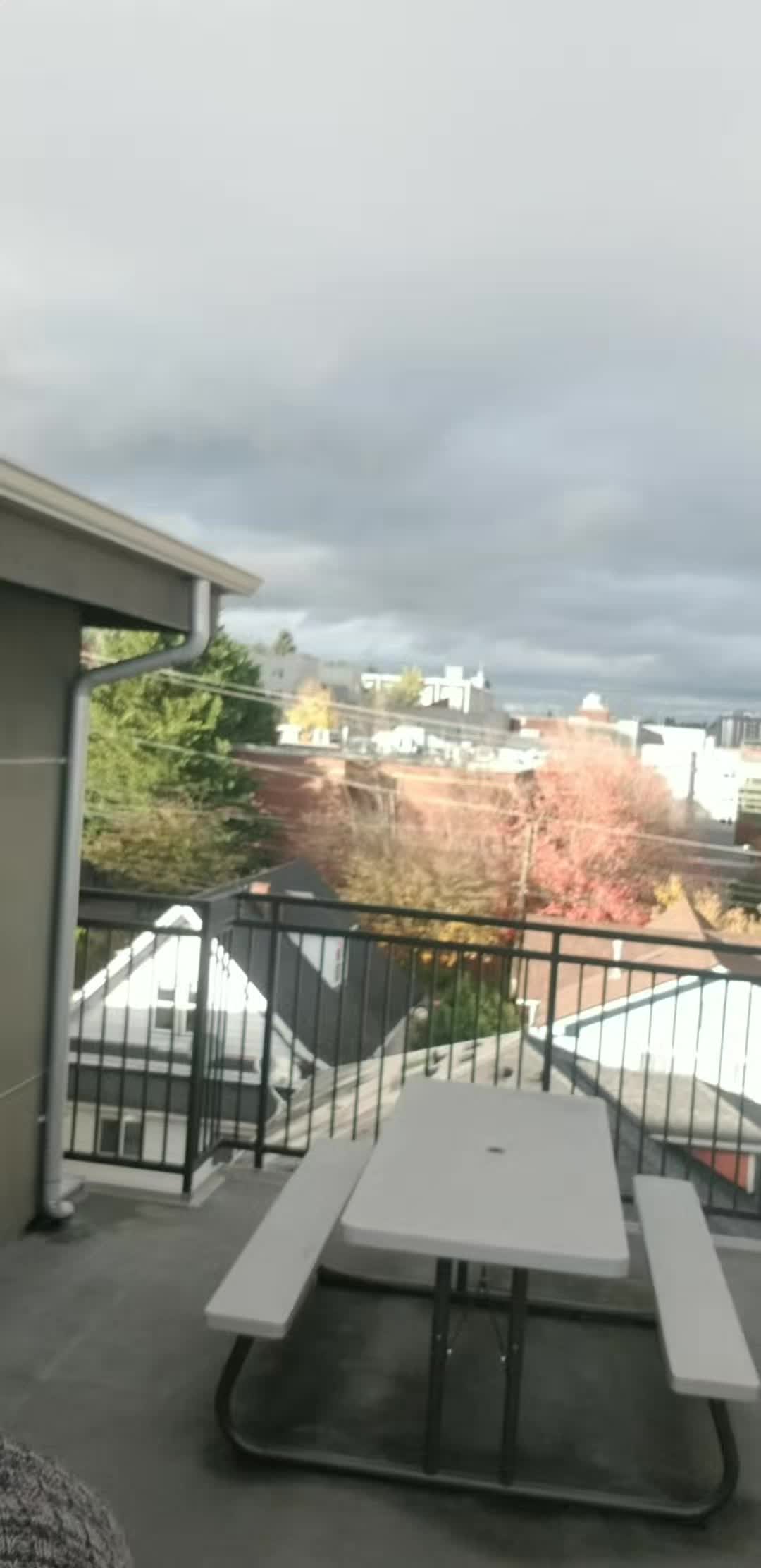 @Zoom Patrol