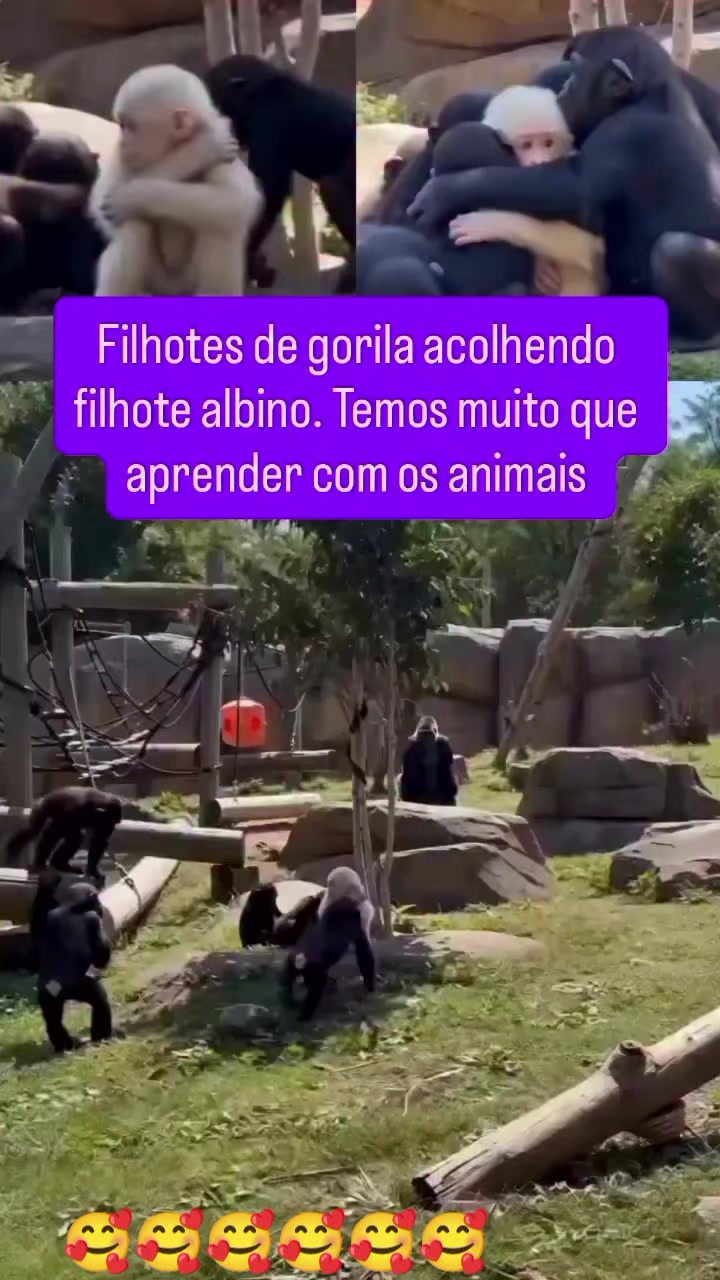 @Marcos Sarinho