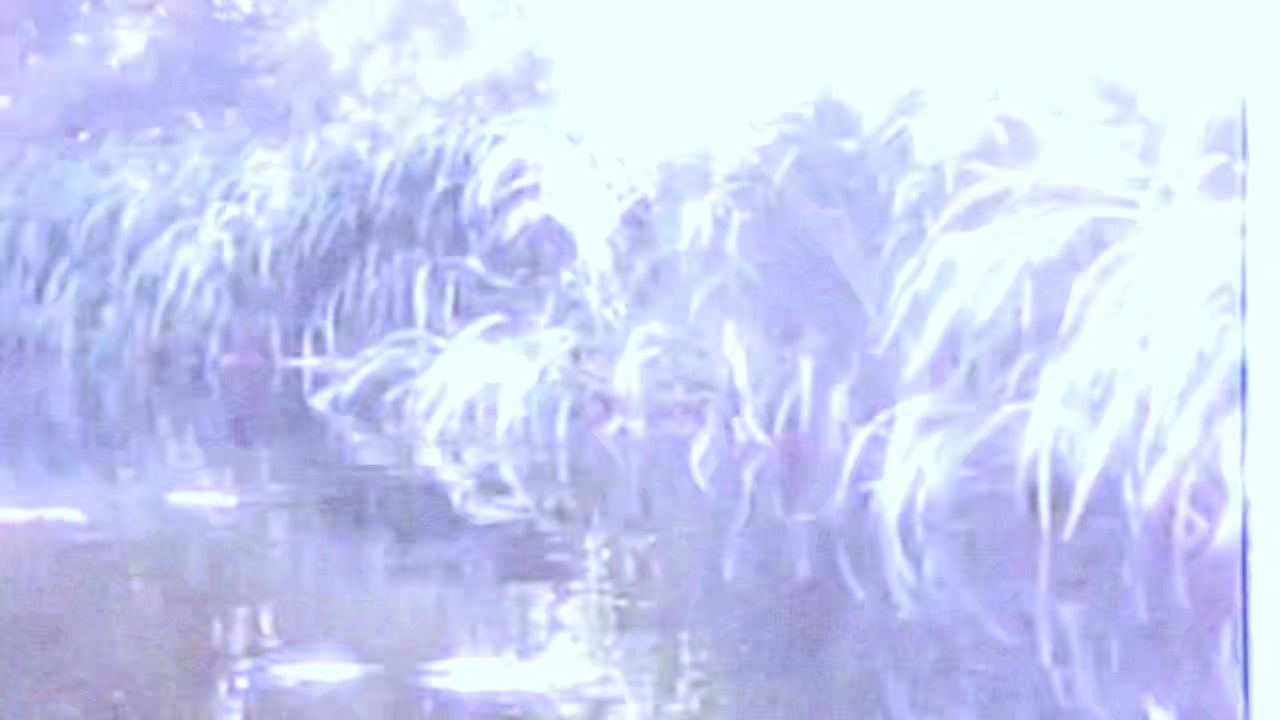 @❩⛧⸸♧🃟𝔳𝔞𝔩𝔤𝔞𝔡𝔞𝔯🃟♧⸸⛧❨