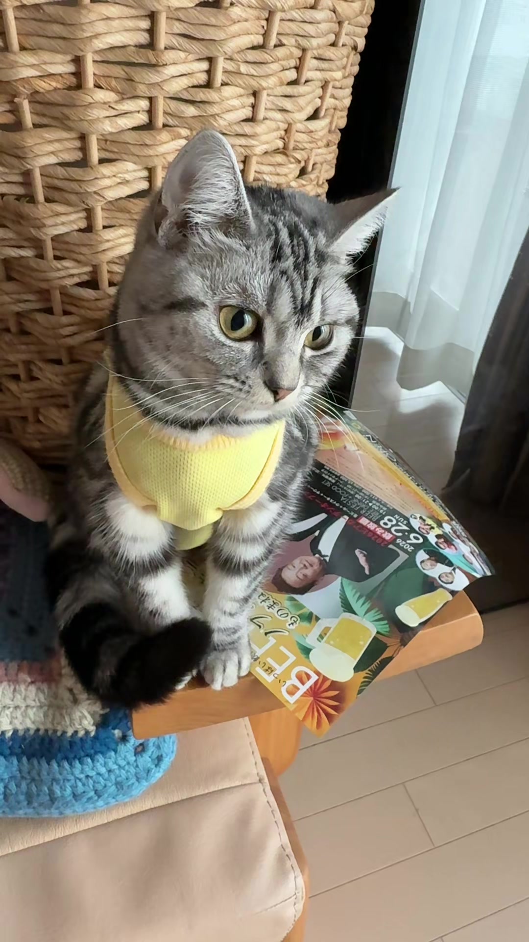 @パンダコンダ
