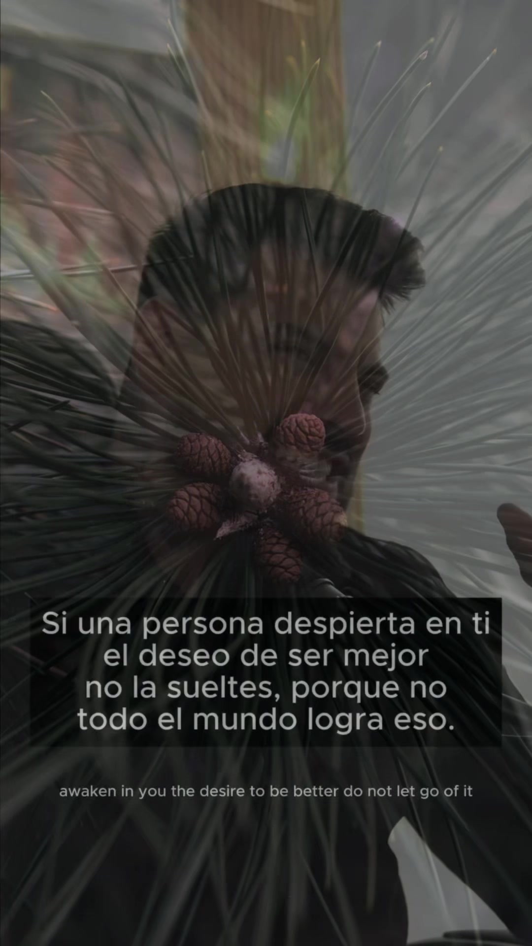 @Diane🦋