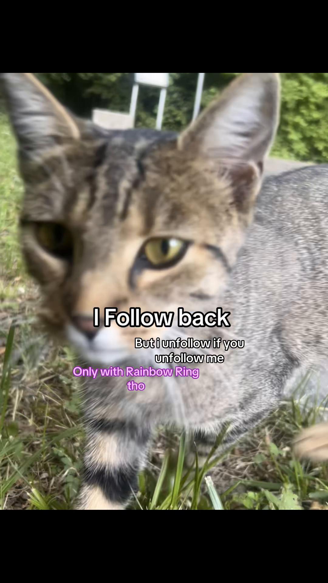 @🎀🪩