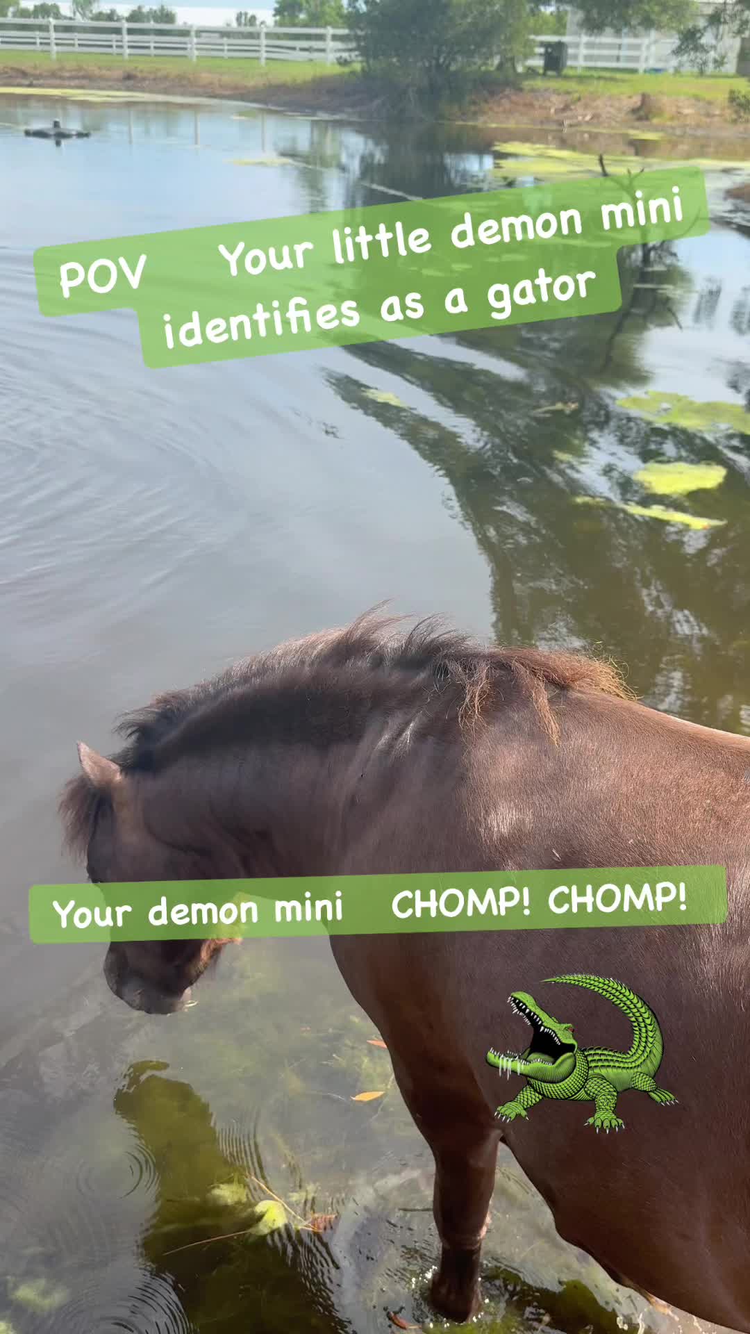 @actuallychristinamarie
