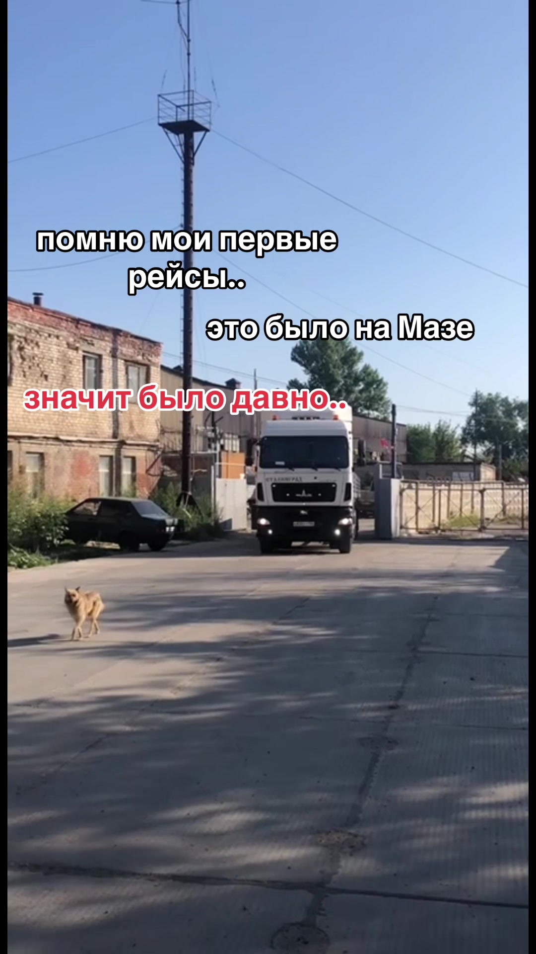 @Дочка Дальнобойщика🛞