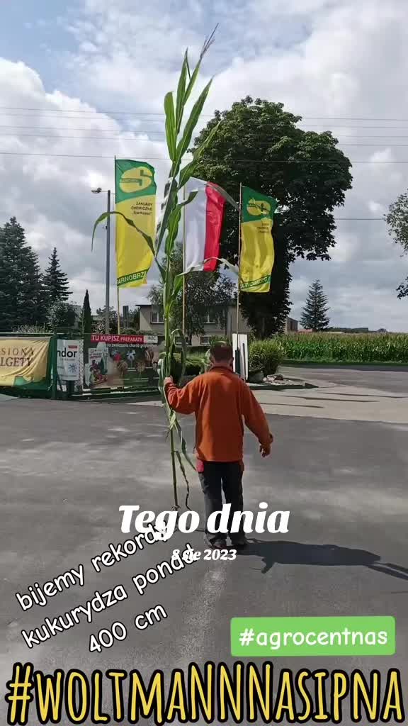 @WOLTMANNNASIONA
