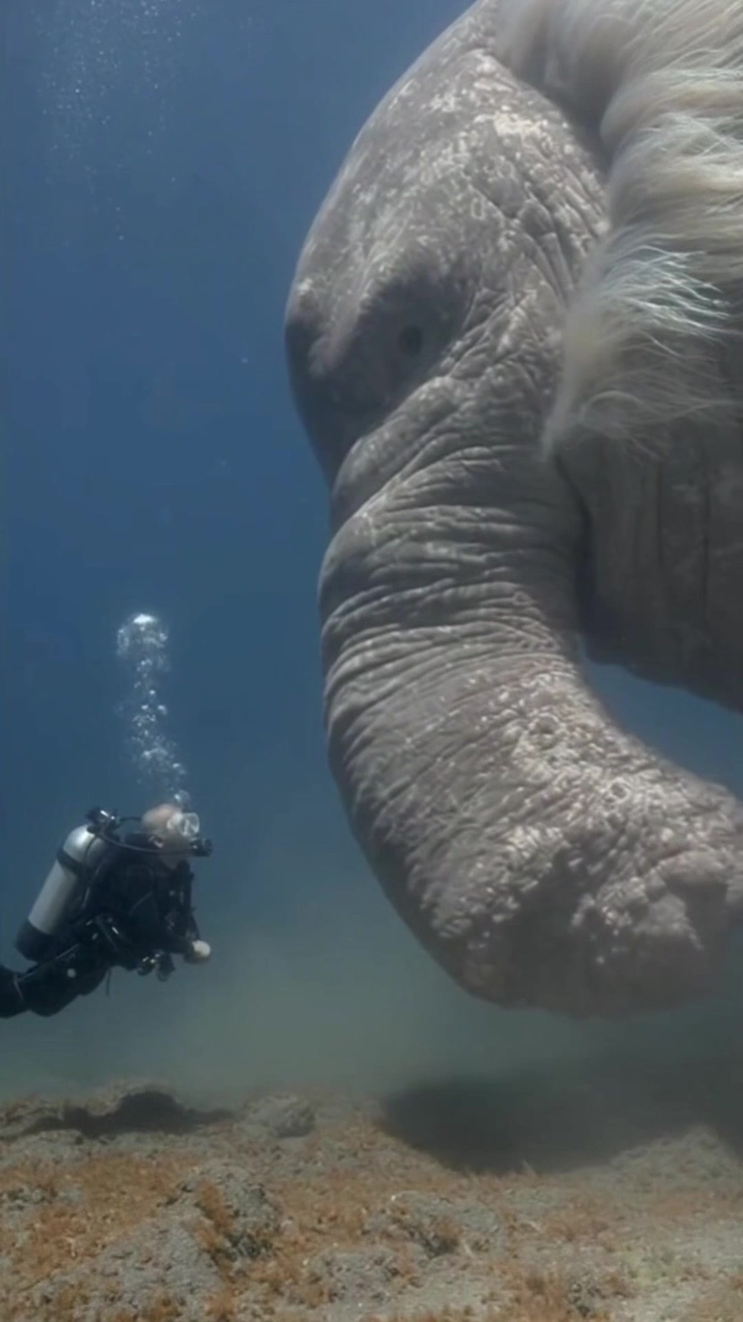 @SwampDiscoveries