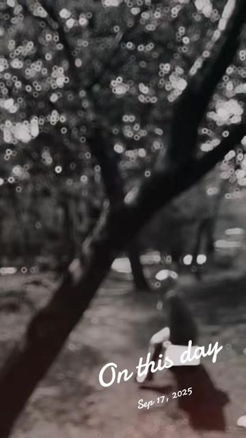 @watylovely