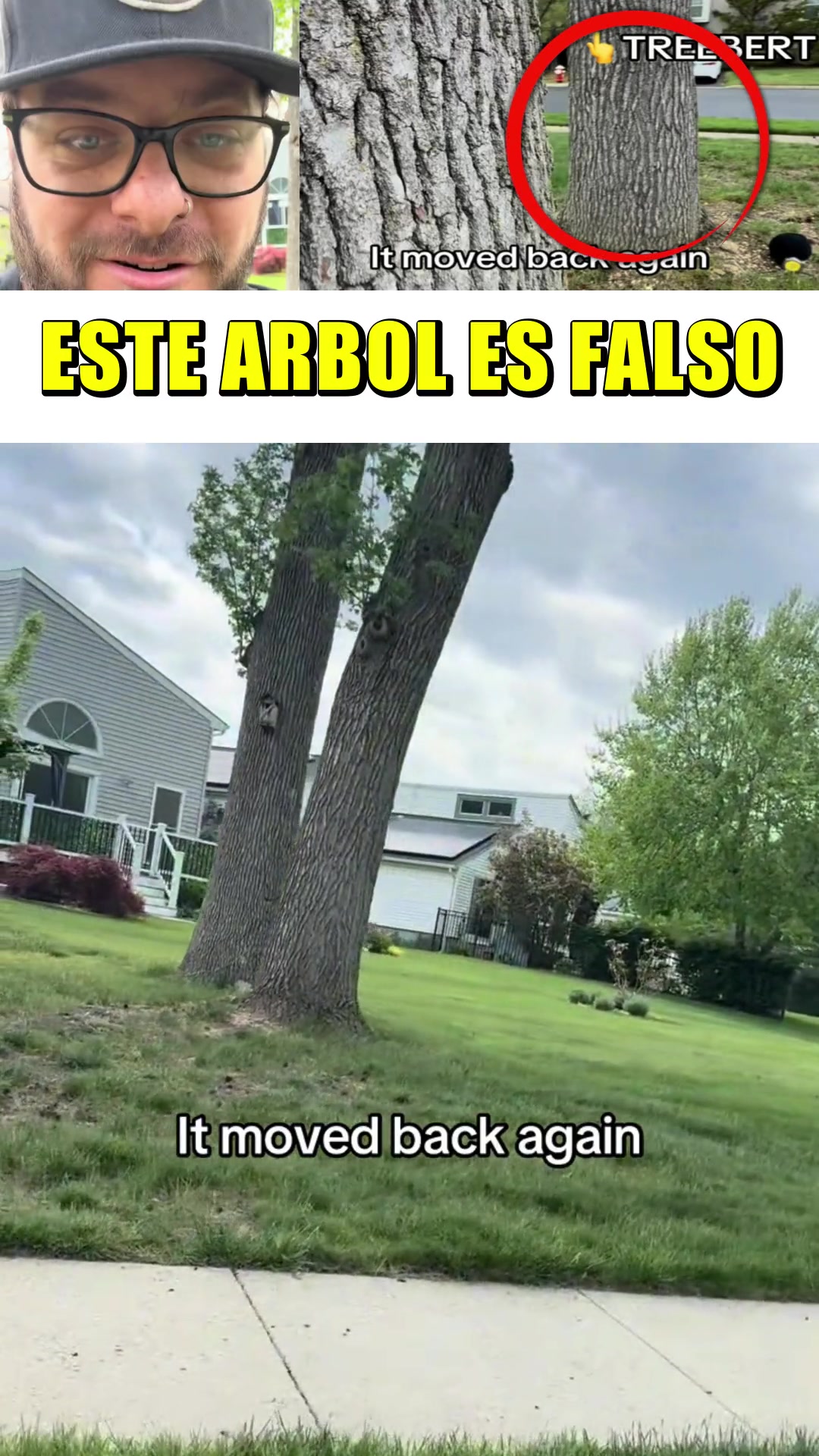 @LUIS ALFONSO