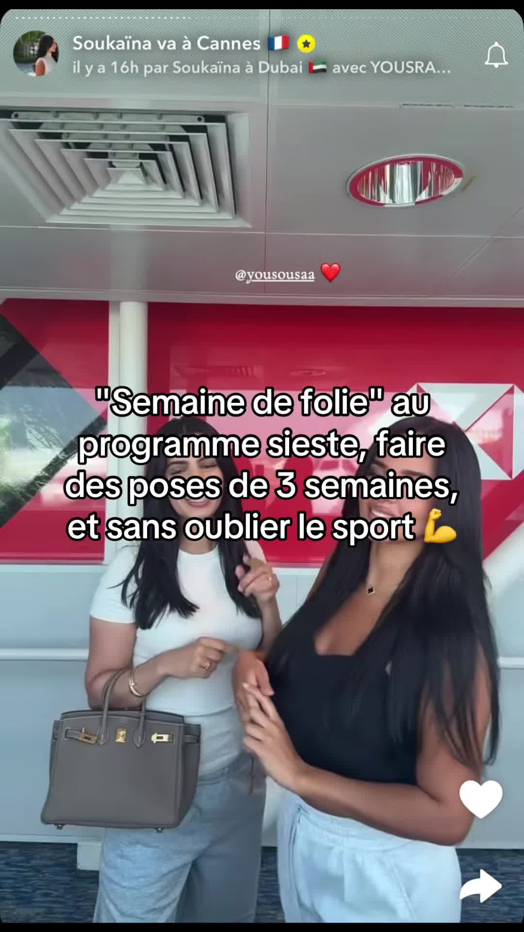 @TeaVicieux🐍☕️