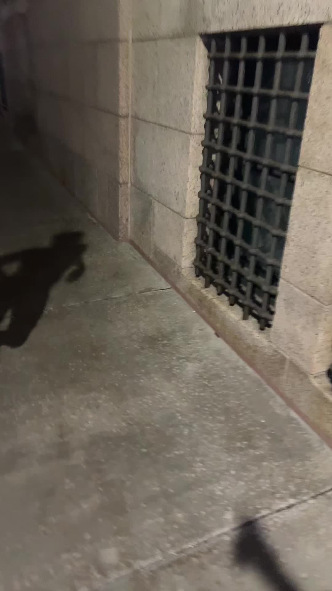 @Manny313_