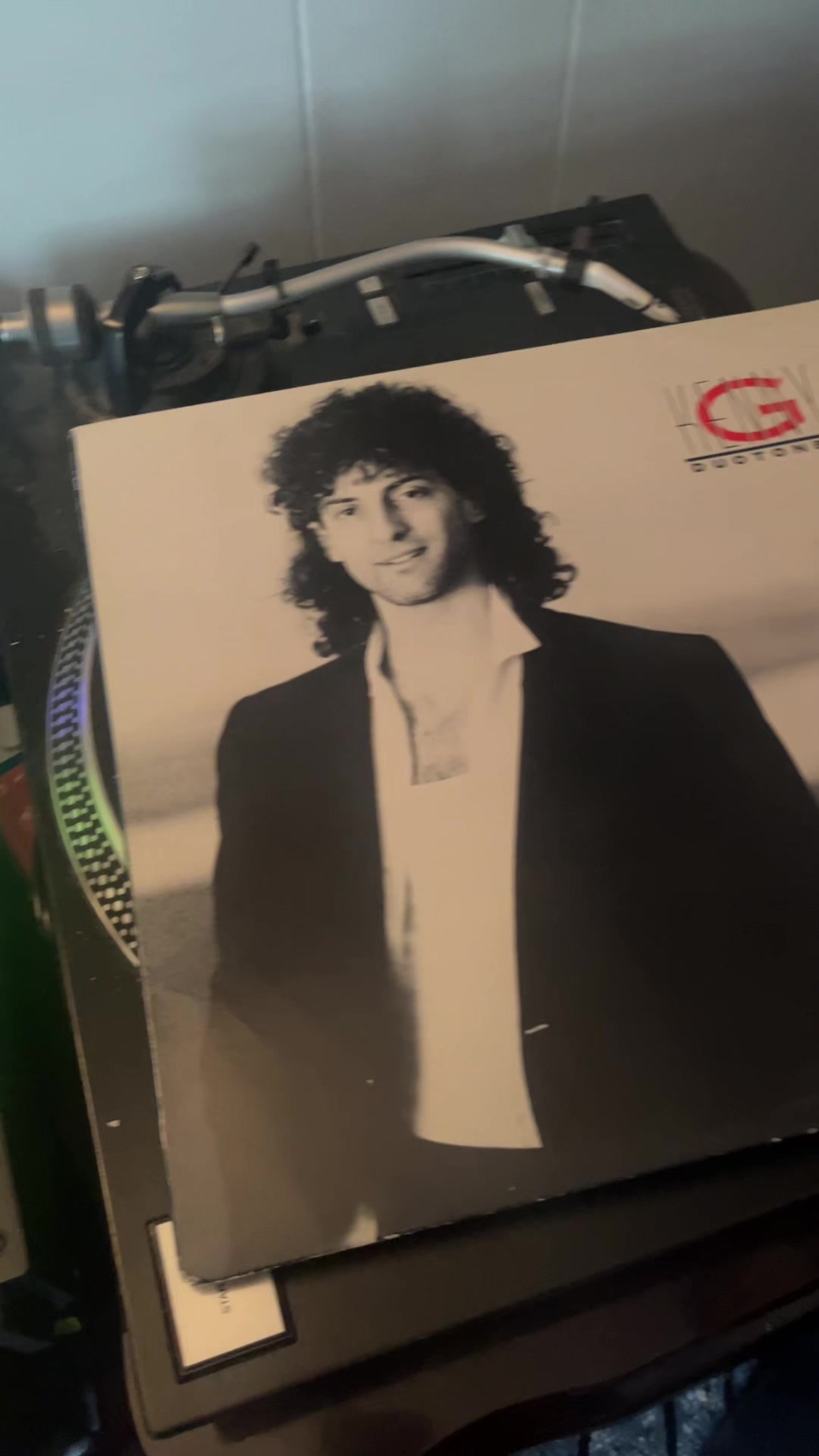 @The Vinylist