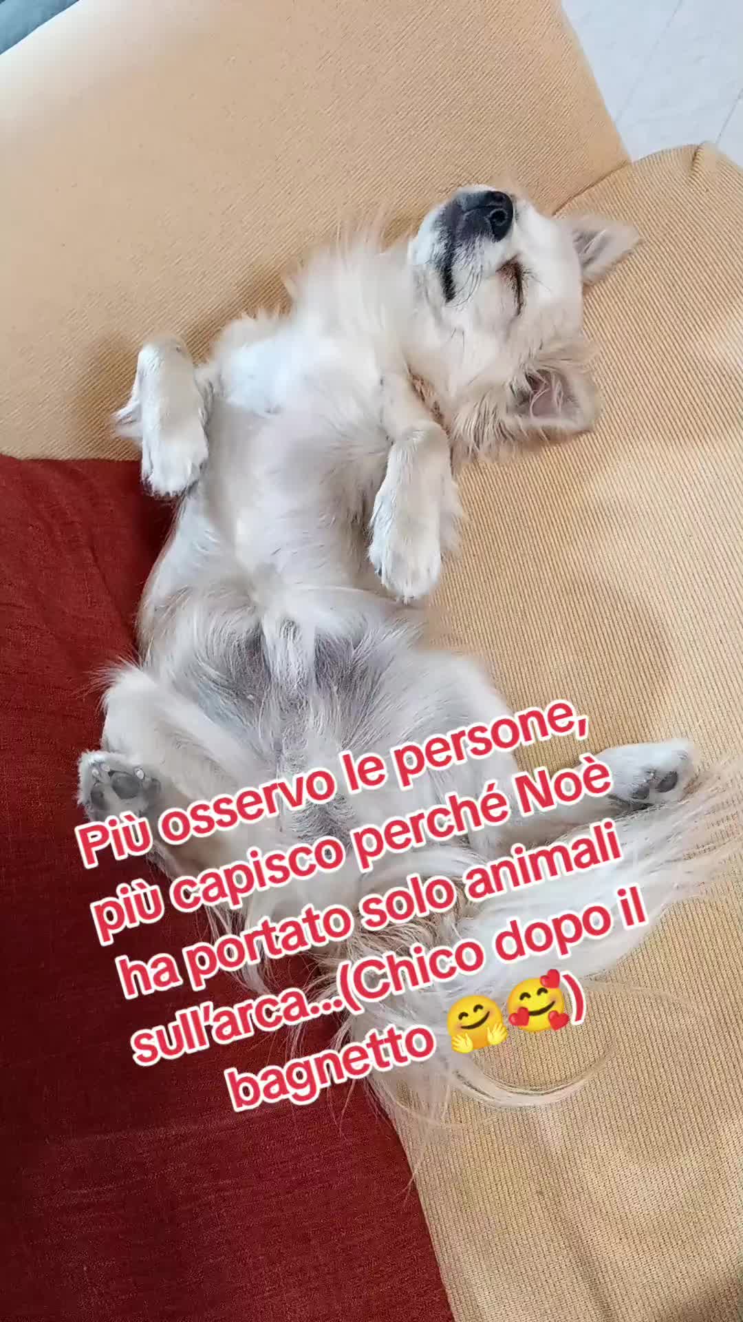 @ELE..meglio folli che noiosi