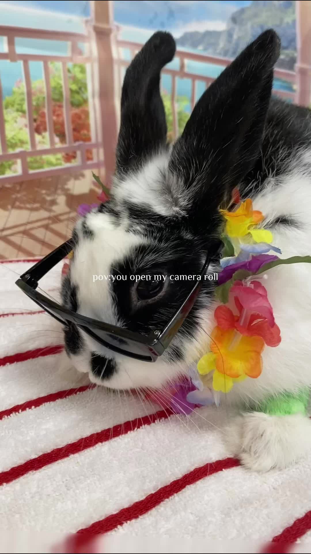 @bunsandhustles