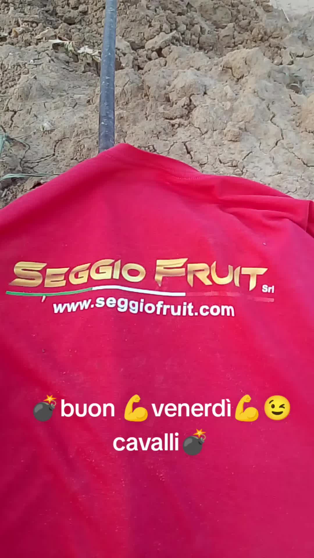 @Stefano Zagara