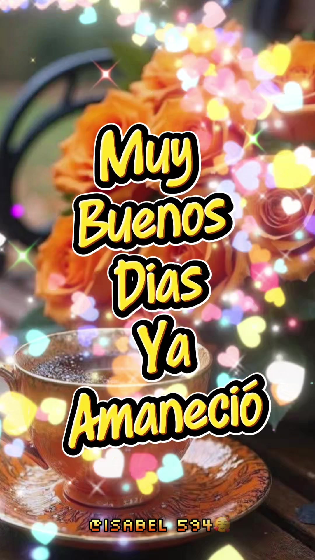@Isabel D