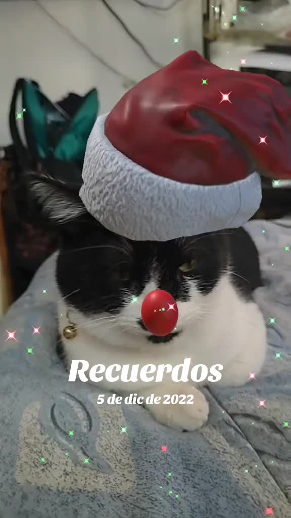 @Eduardo Ávila