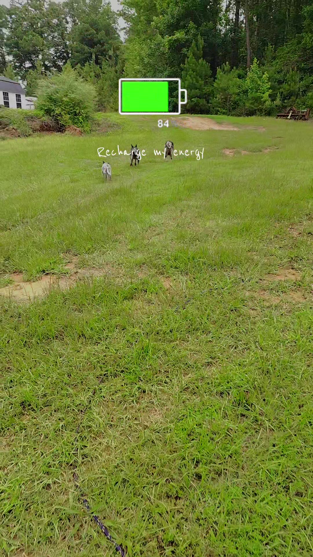 @KEXAN Farms