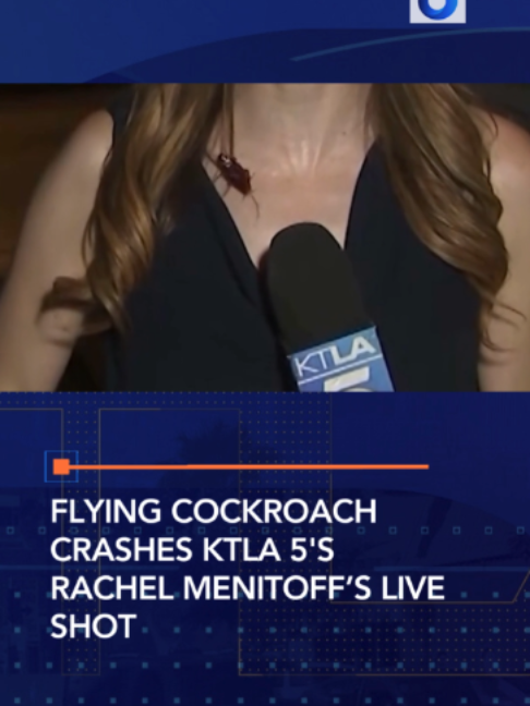 @KTLA 5 News