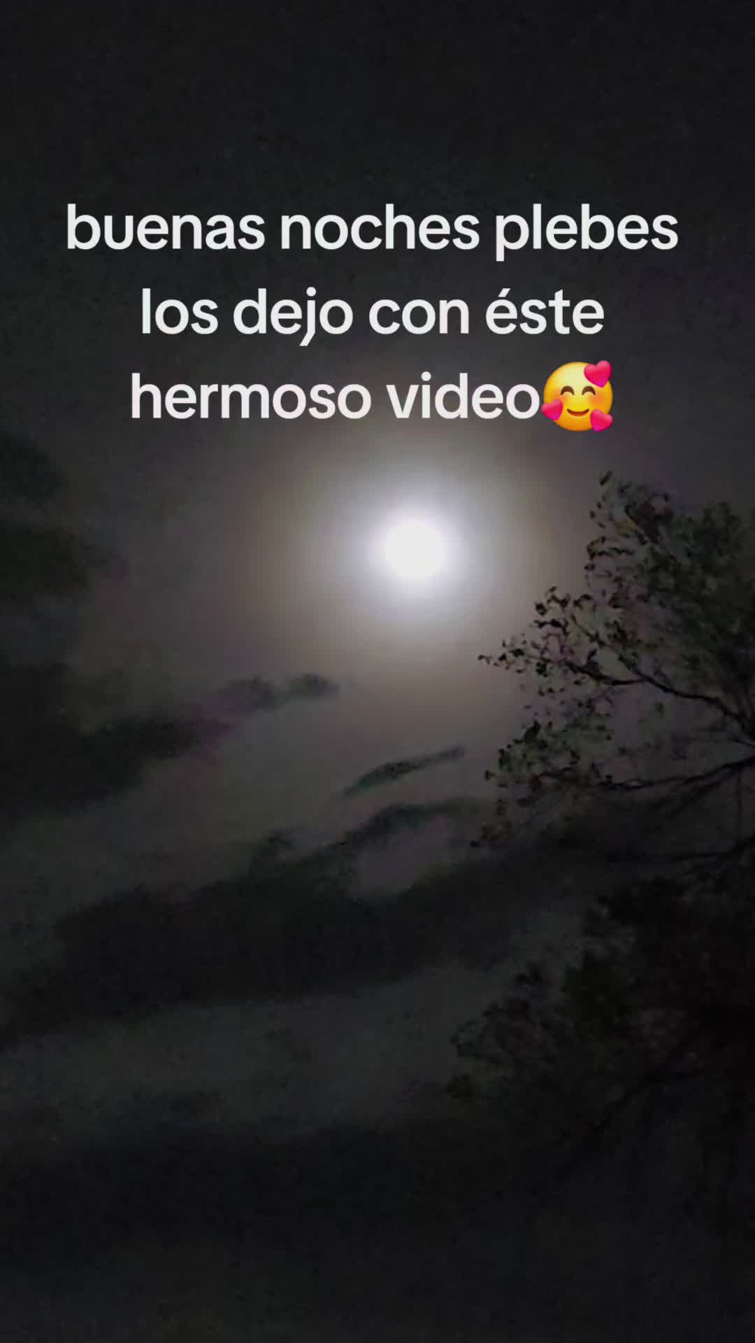 @chaparritadeortiz777