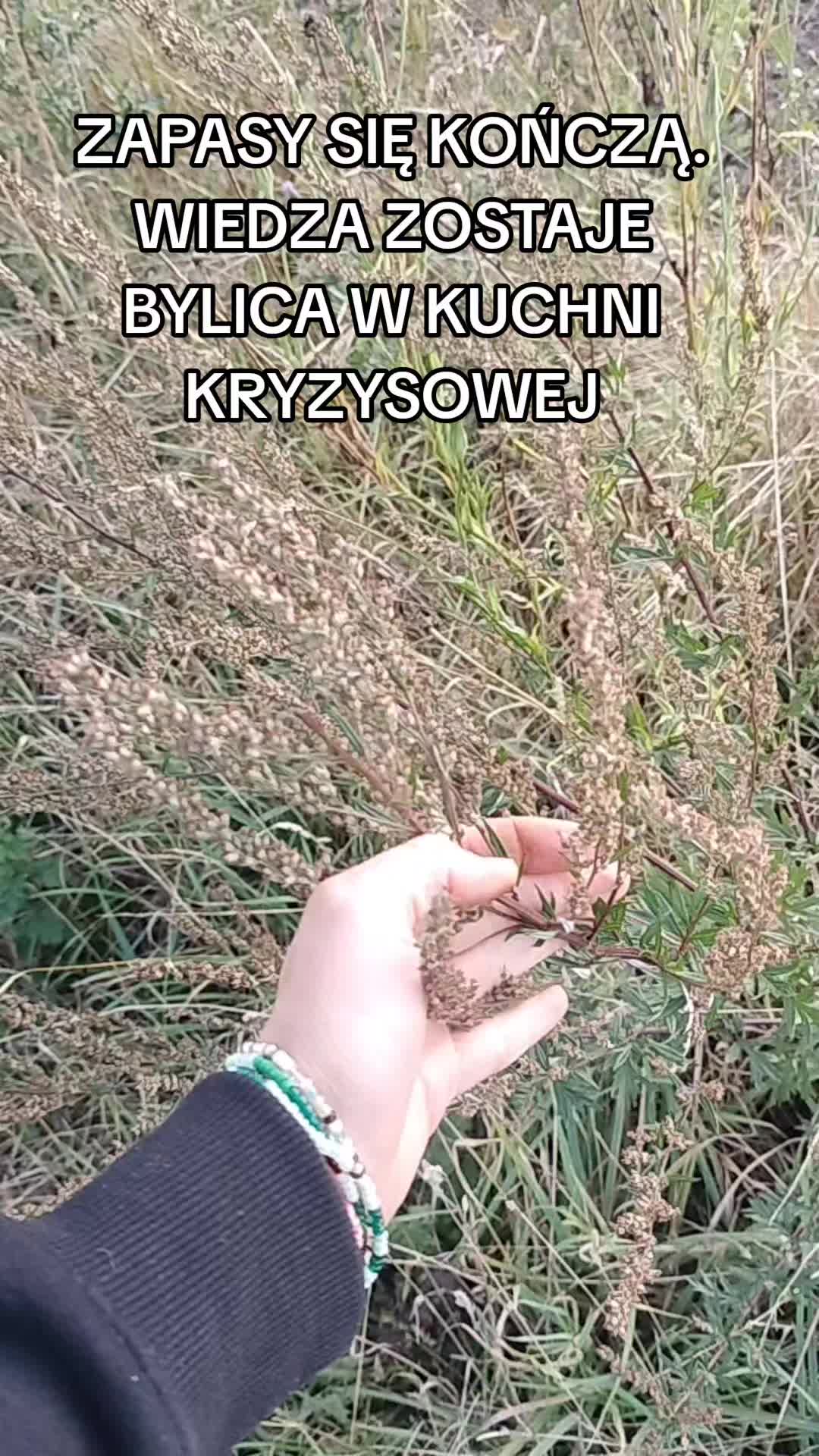 @Zielsko Szeptuchy