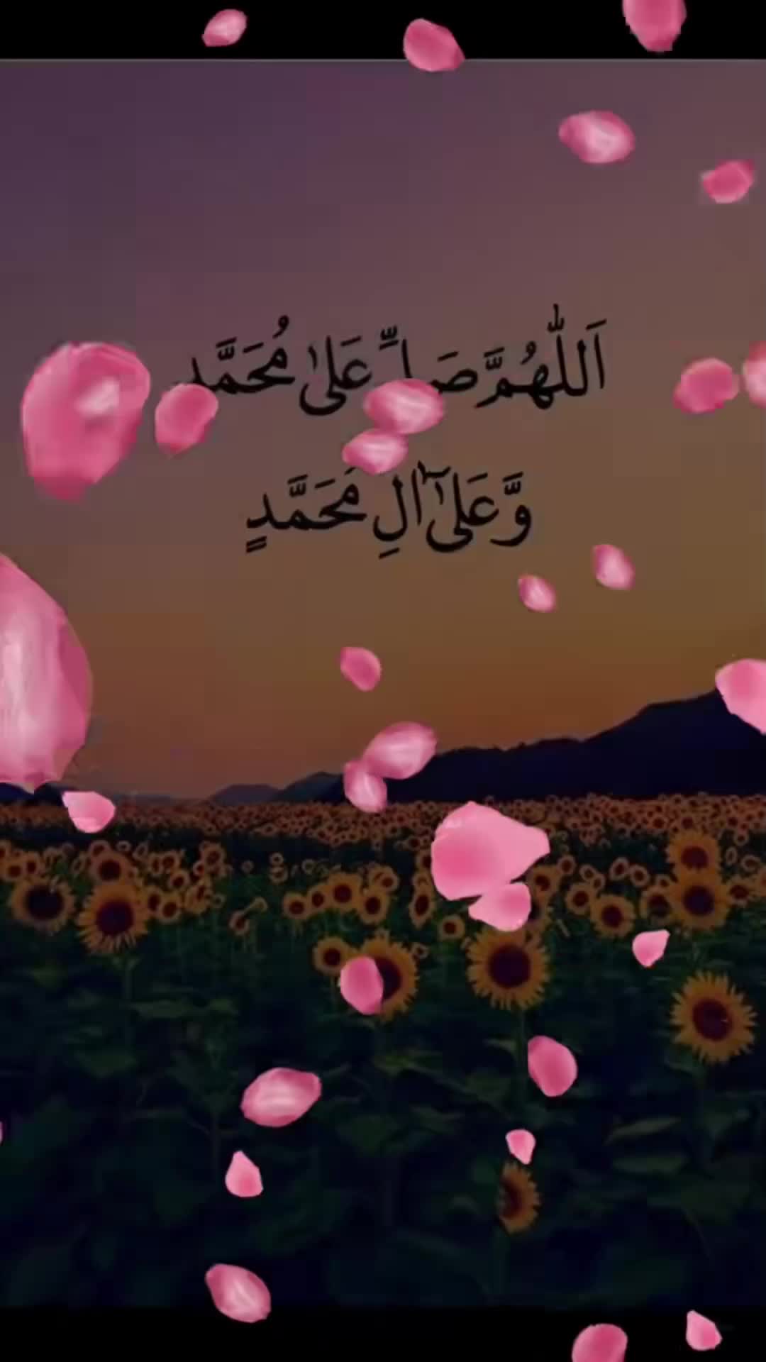 @Nishaba Rajpoot