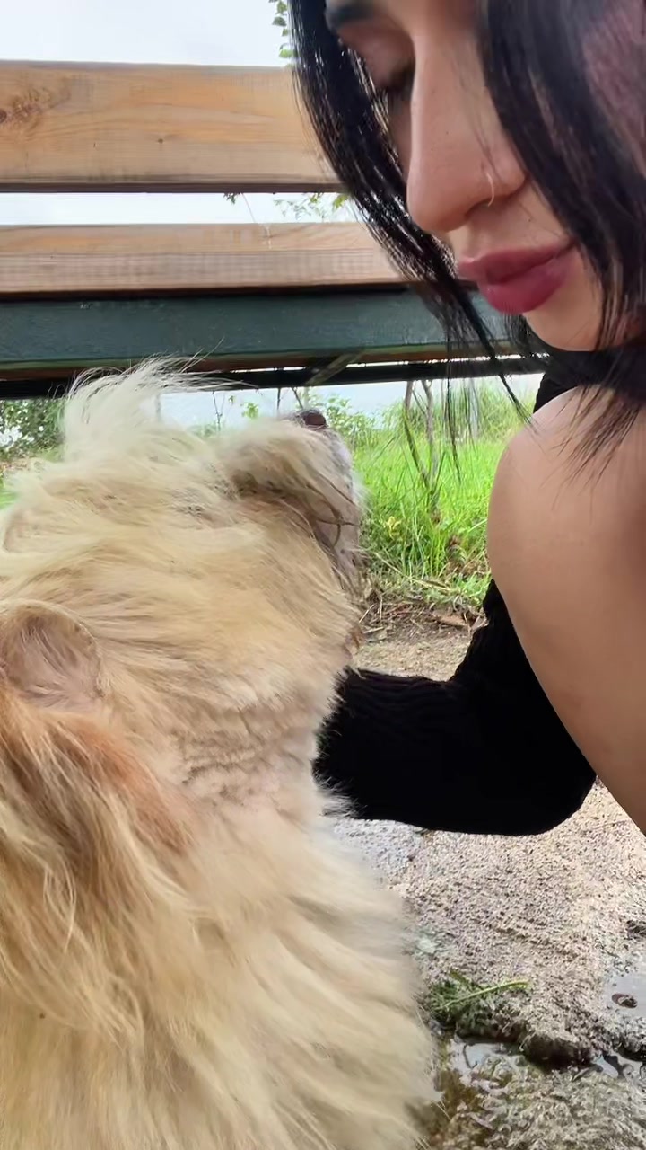 @taabaassm