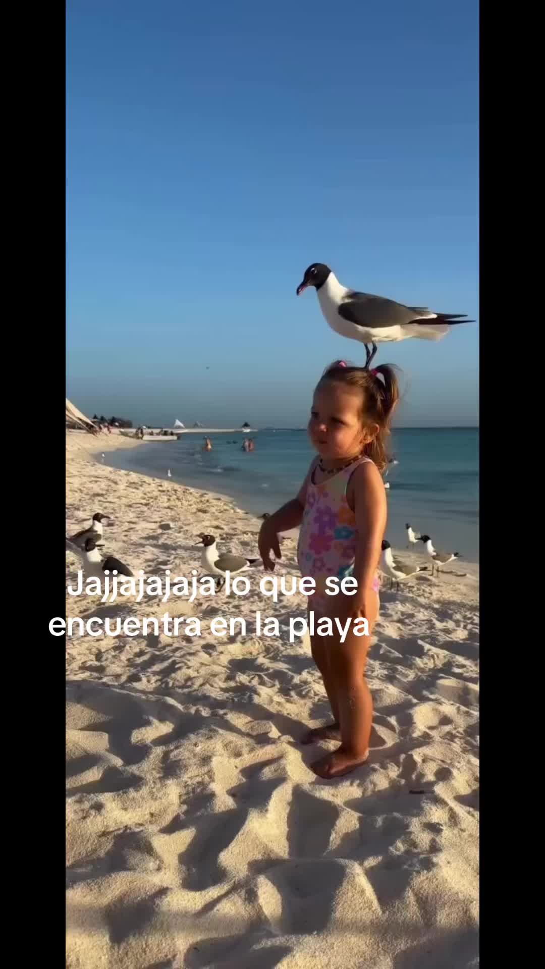 @PABLO