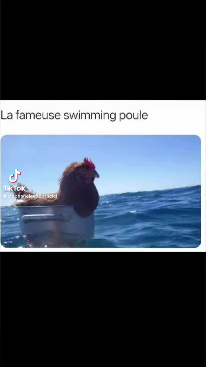 @stephanelevinternational