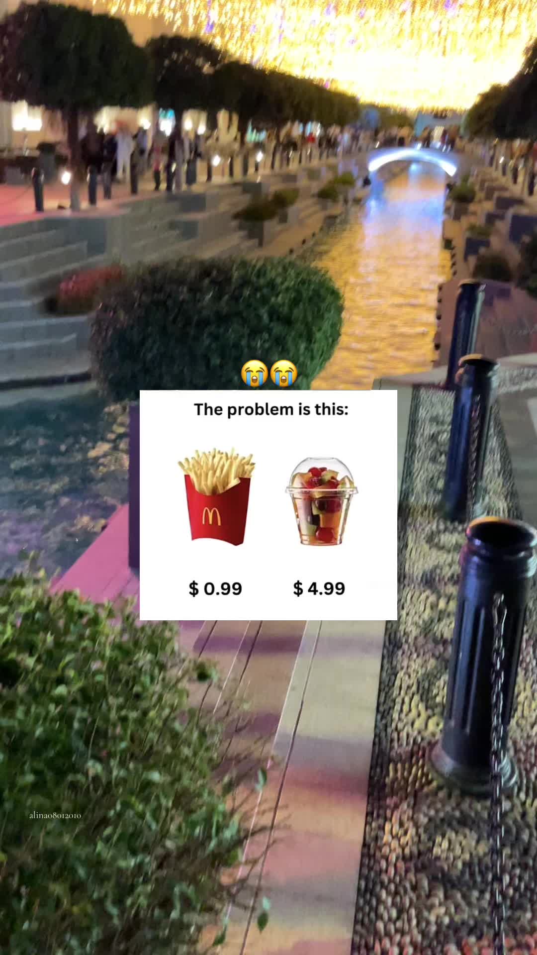 @ALINA