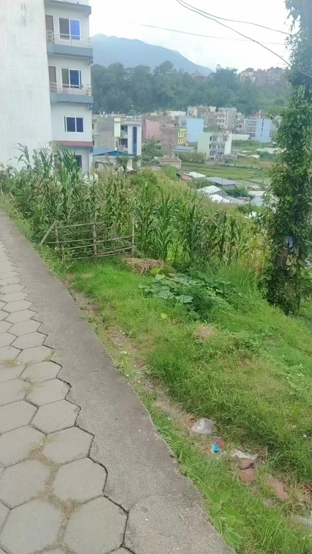 @Mira Rai
