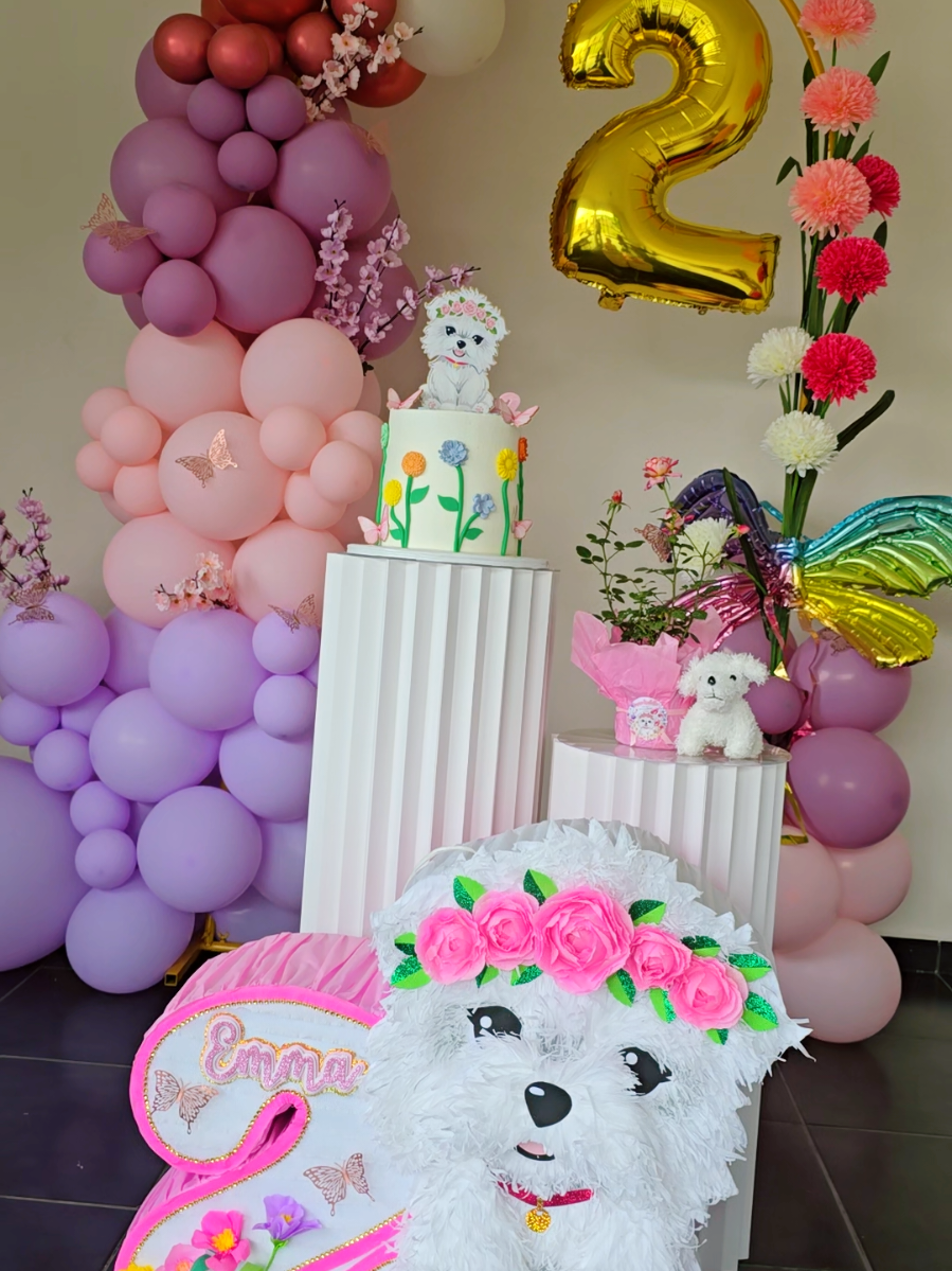 @Pi&ntilde;atas Nereida Garza