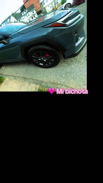 @Massiel L