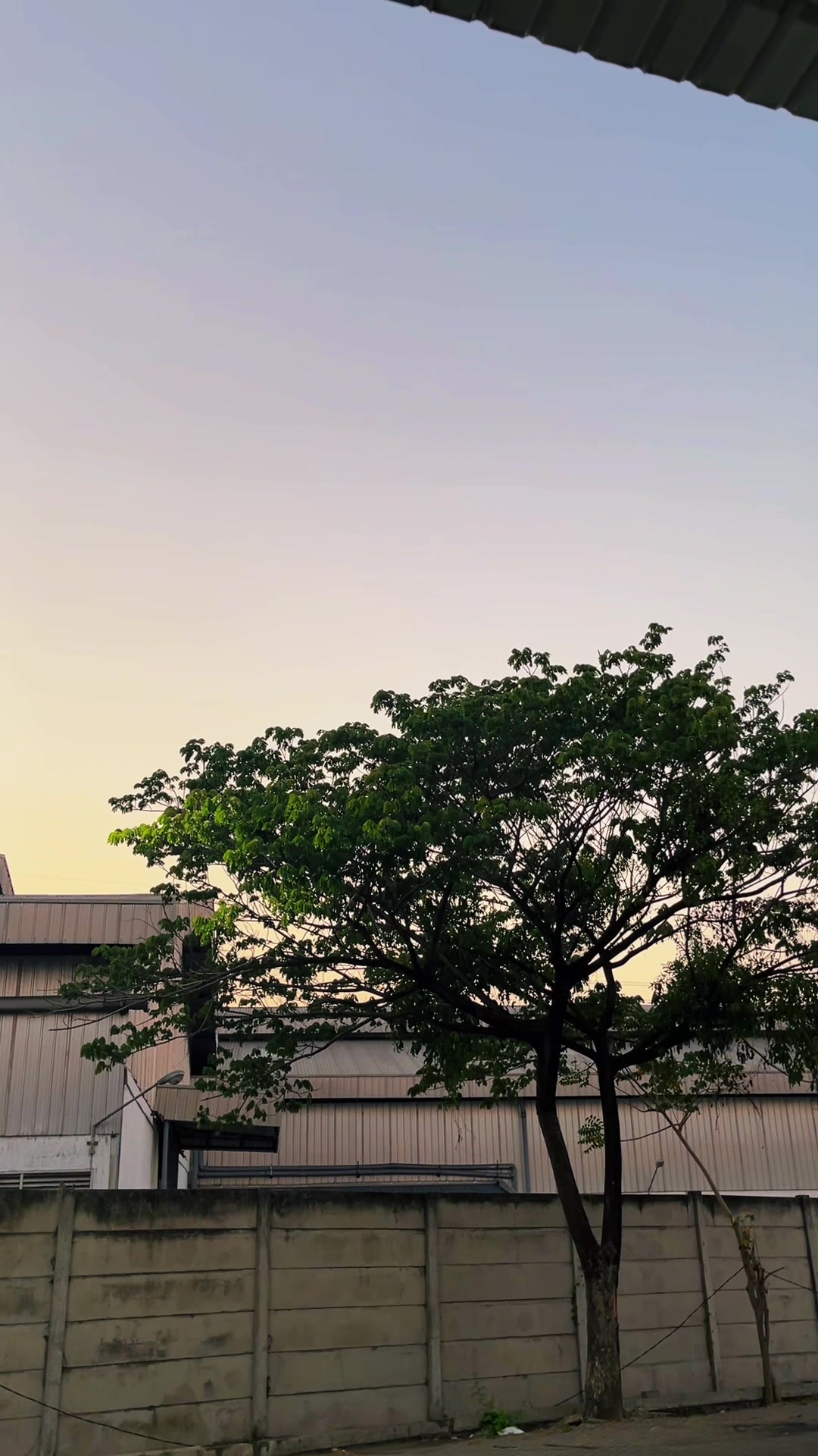 @Icha Random🦥