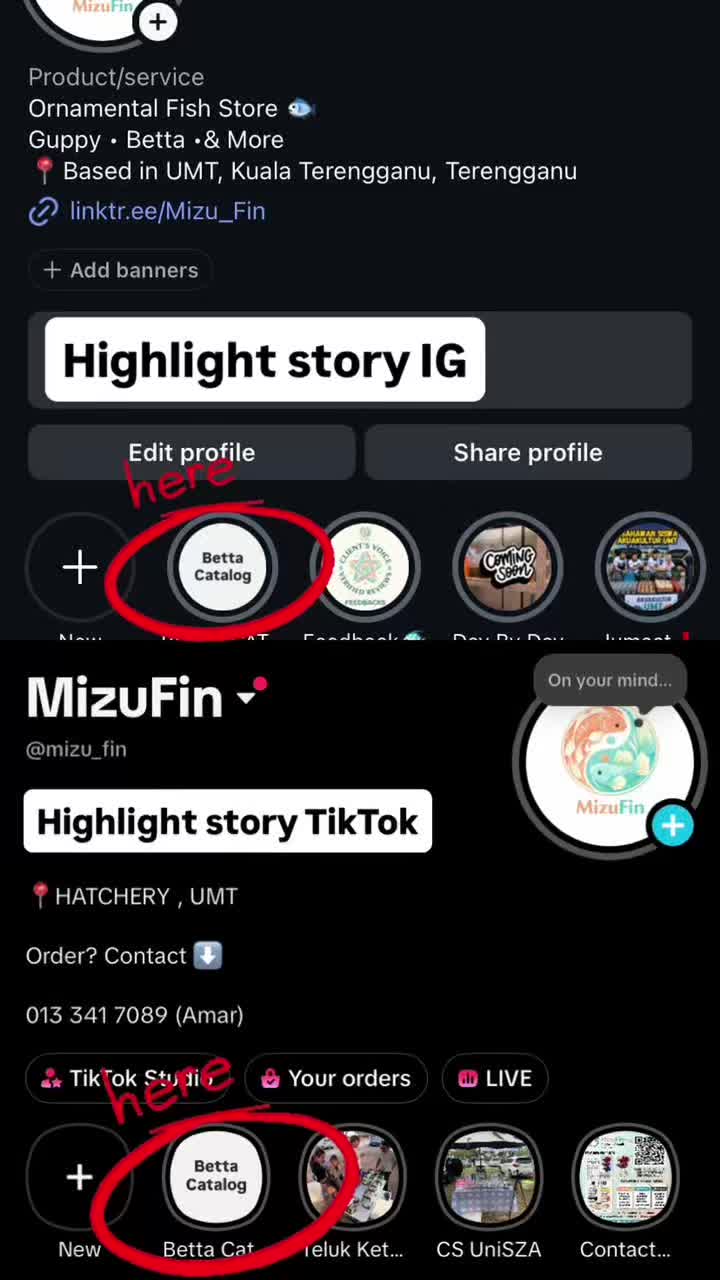 @MizuFin