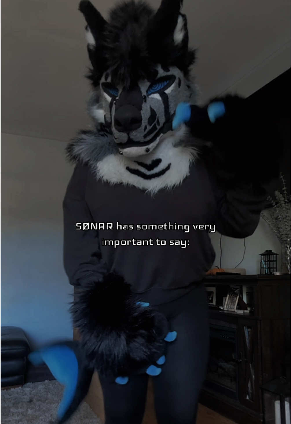 @sonar_hyena_shark