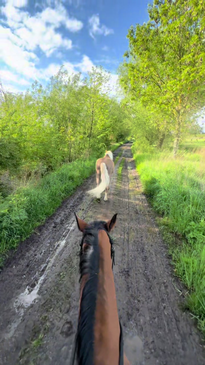 @Ponyhausen