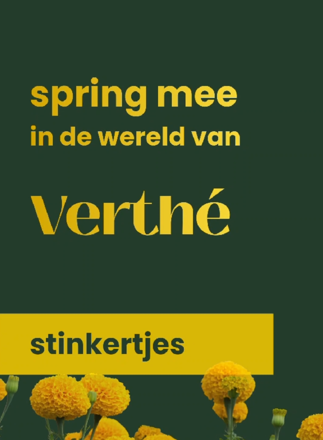 @Restaurant Verthé