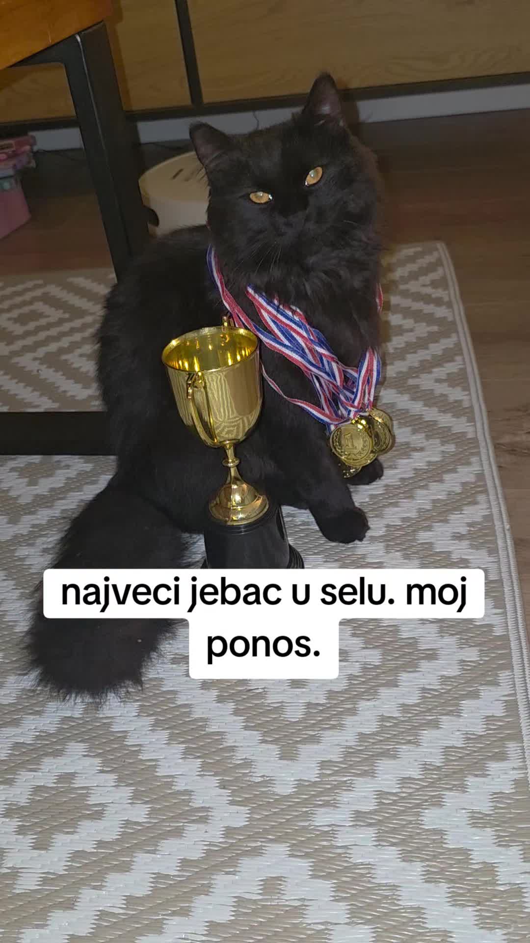 @jebivjetarpro