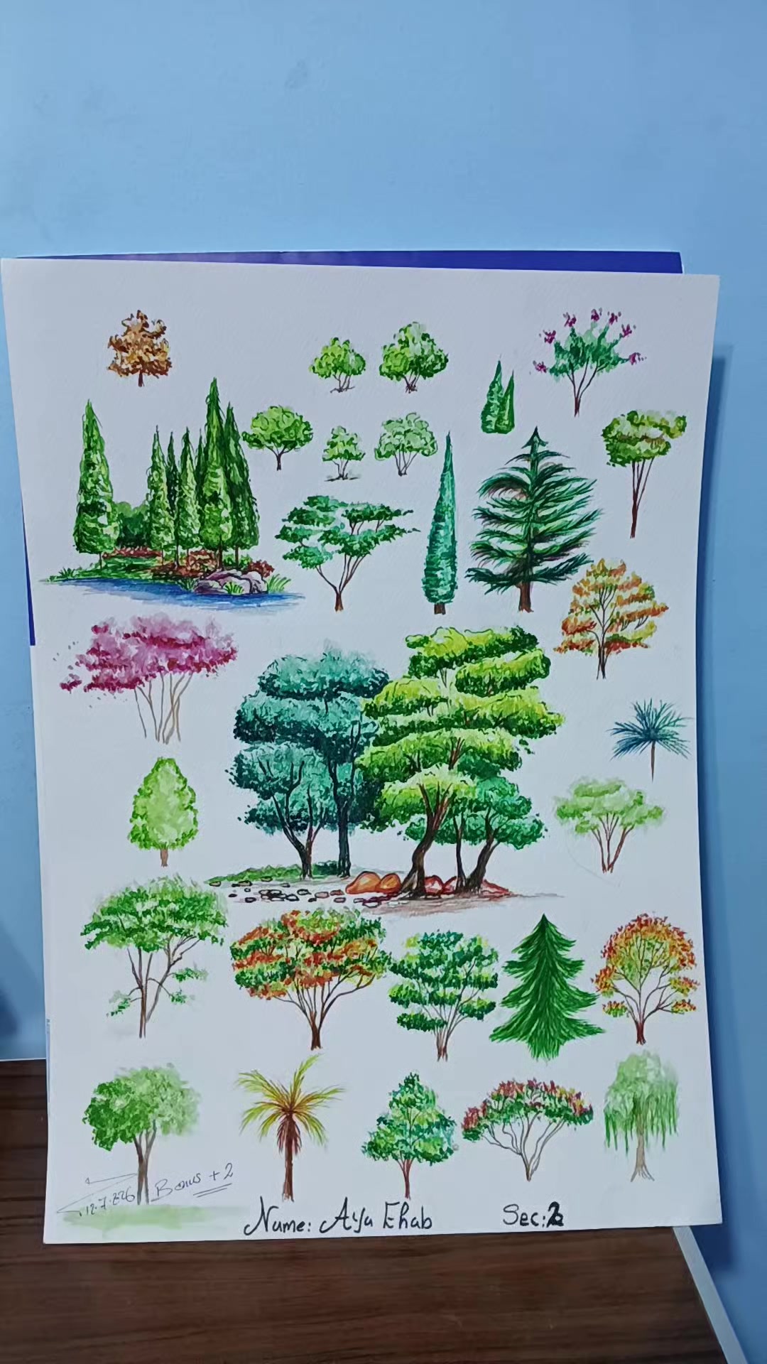 @Aya Ehab